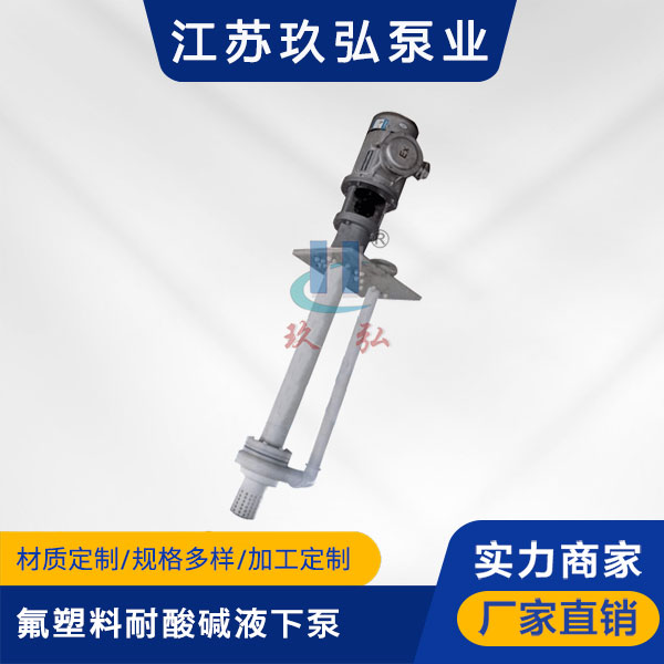 FYS氟塑料耐酸堿（jiǎn）液下泵(圖1)