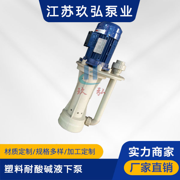 TPT塑料耐酸堿液下泵(圖1)