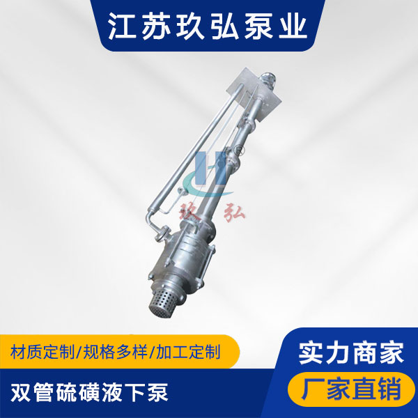 DLY雙管硫磺液下（xià）泵(圖1)