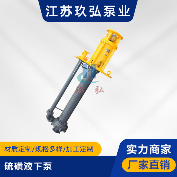 LHY型（xíng）硫磺液下泵(圖1)