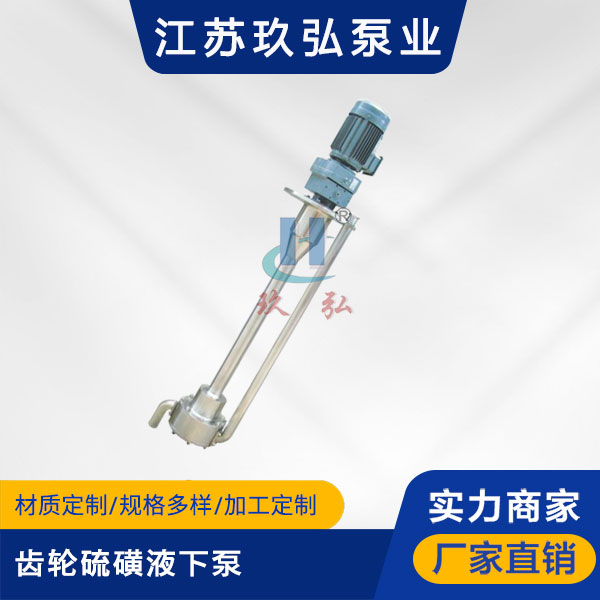 ATY齒輪硫磺（huáng）液下泵【液硫泵】(圖1)