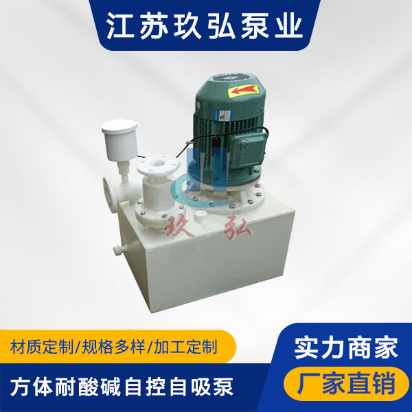 WFB方體型（xíng）耐酸堿自控自吸泵(圖1)