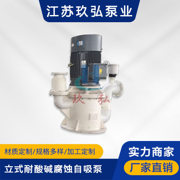 WFB立式耐酸（suān）堿腐蝕自（zì）吸泵(圖（tú）1)