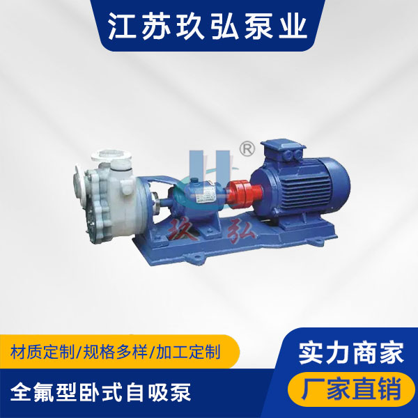 FZB全（quán）氟型（xíng）臥式自吸泵(圖1)