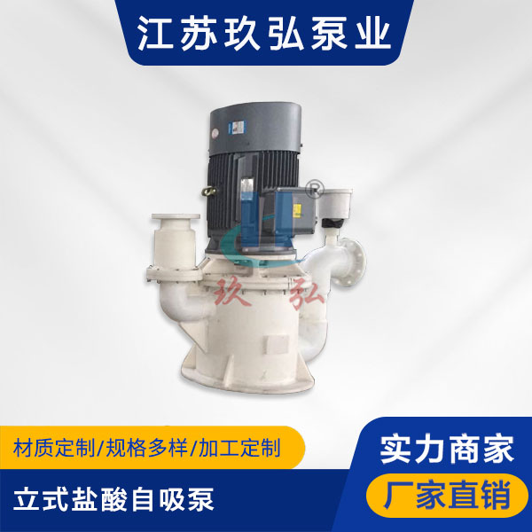 WFB立式鹽酸自吸泵(圖1)