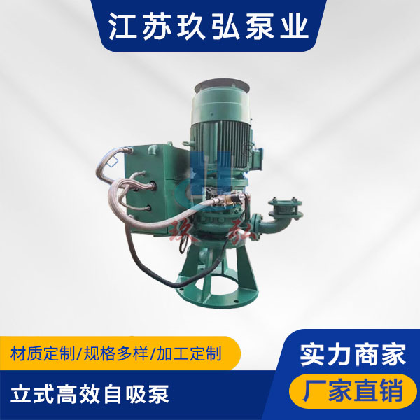 GLB立式高（gāo）效（xiào）自吸泵(圖1)