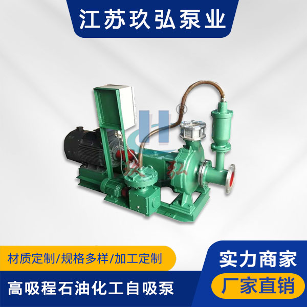 TZFB-II高吸程（chéng）石油化工自吸泵(圖1)