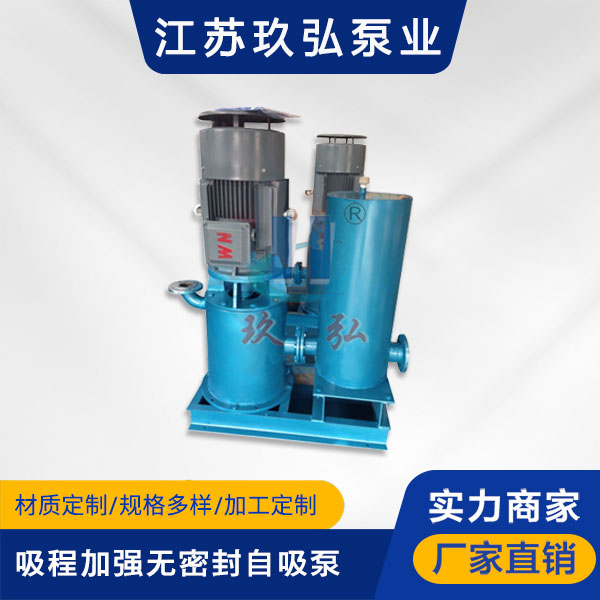 WFB吸程加強型無密封（fēng）自吸泵(圖（tú）1)