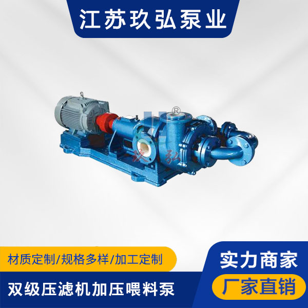 HFM-2型雙級壓濾（lǜ）機加壓喂料泵（bèng）(圖1)