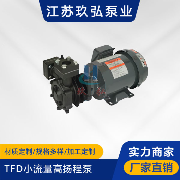 TFD小流量高揚程泵（bèng）(圖1)