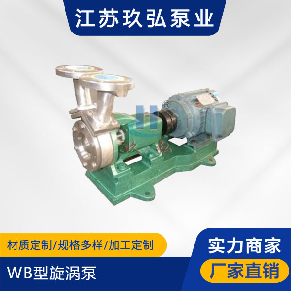 WB旋渦泵(圖1)