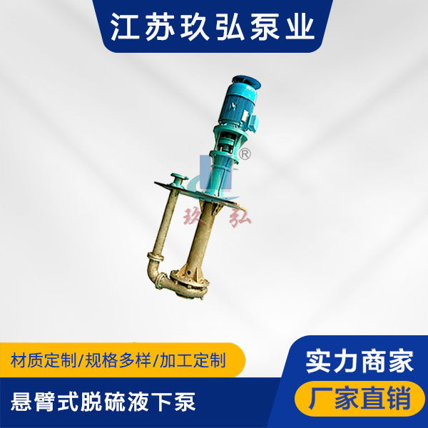 脫硫泵的使用注意事項介紹（shào）(圖1)