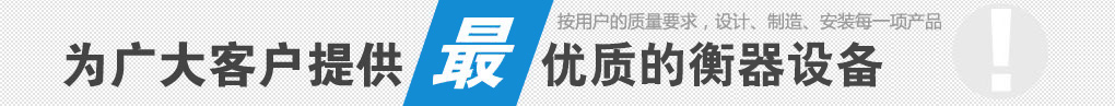 上海讚（zàn）維衡（héng）器（qì）有限公司