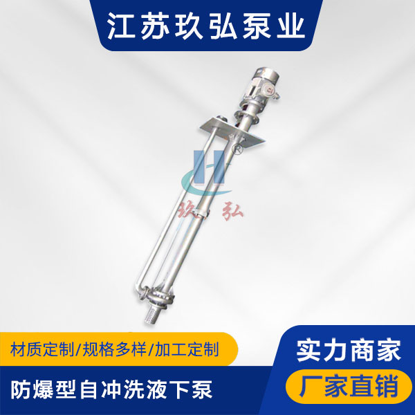 FY防（fáng）爆型自衝洗不（bú）鏽鋼液下泵（bèng）(圖1)