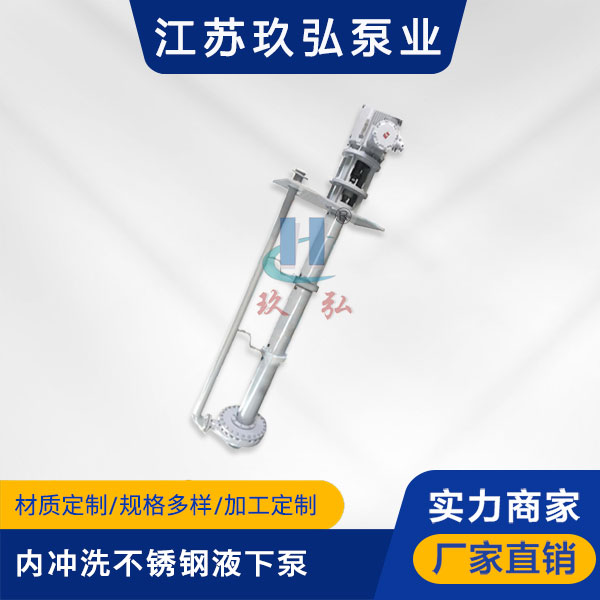 LY內衝洗不鏽鋼長軸液下（xià）泵(圖1)