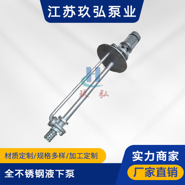 FYB全不（bú）鏽鋼液下泵（bèng）(圖1)