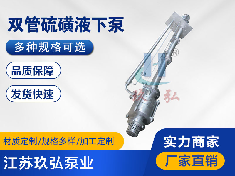 DLY雙管耐高溫硫（liú）磺液下（xià）泵(圖1)