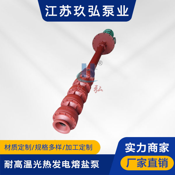 RY耐高溫光熱發電熔鹽泵(圖1)