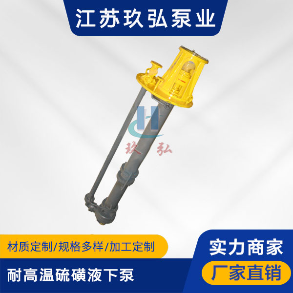 LHY耐高溫硫磺液下泵(圖1)