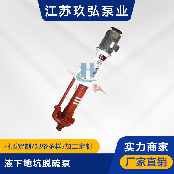 PLC液下地坑脫（tuō）硫泵(圖1)