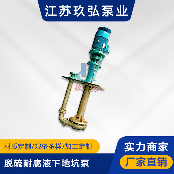 PLC脫硫地坑液下（xià）泵(圖1)