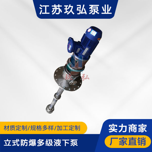 HDY立（lì）式防爆多級液下泵(圖1)