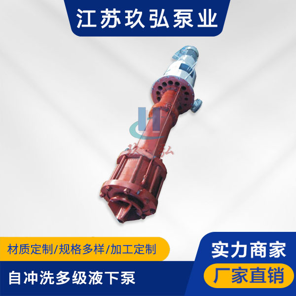 DLY自衝洗多級（jí）液下（xià）泵(圖1)