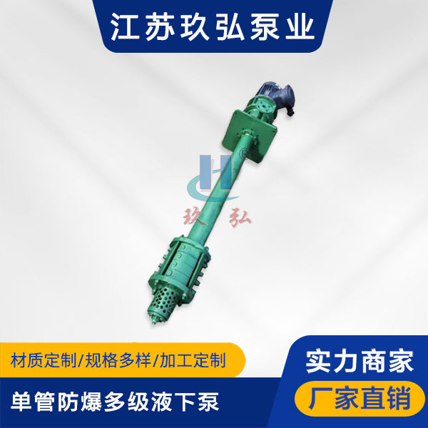DLY單管防爆（bào）多級液下泵(圖1)
