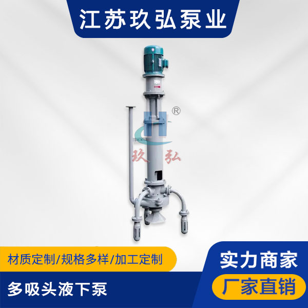 PW型多吸頭液下泵(圖1)