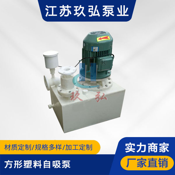 WFB方形塑（sù）料（liào）自吸泵(圖1)