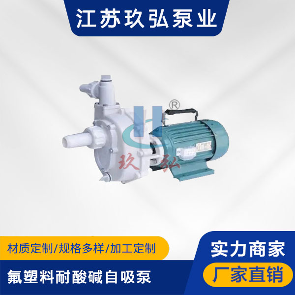103手提（tí）式氟塑料耐酸堿（jiǎn）自吸泵(圖1)