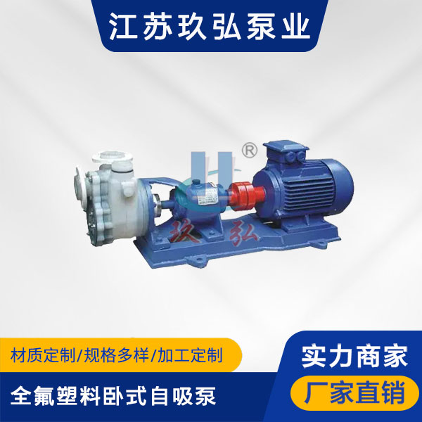 FZB全氟塑料臥式自吸泵(圖1)