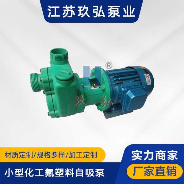 102小型化工氟塑料自吸泵(圖1)