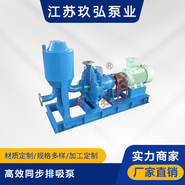 TBZB高效同步排吸泵(圖1)