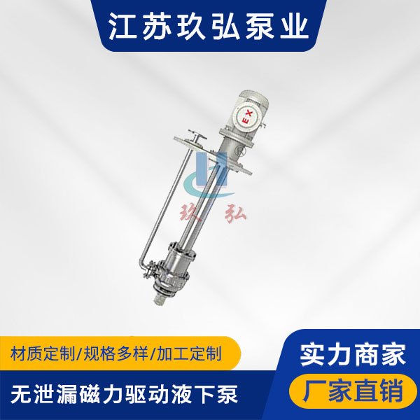 HYC無泄漏磁力驅動液下泵(圖1)