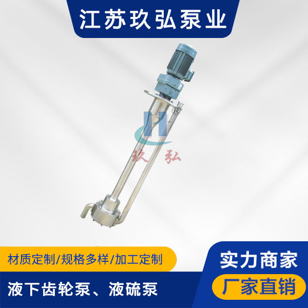 ATY液下齒輪泵、液（yè）硫泵(圖1)