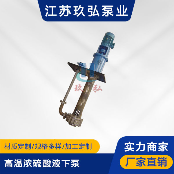 LSB高溫濃硫酸液下（xià）泵(圖1)