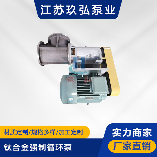 FJX-Ⅱ型鈦合金強製循（xún）環泵(圖1)