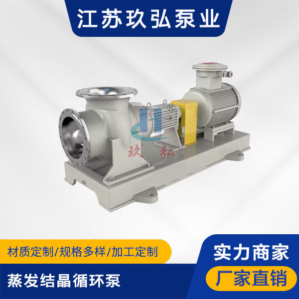 FJX蒸發結晶循(xún)環泵(圖1) FJX蒸發結晶循環泵(圖1)