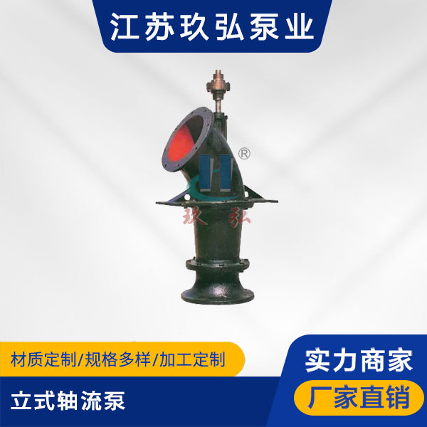 ZLB型立式軸流泵（bèng）(圖1)