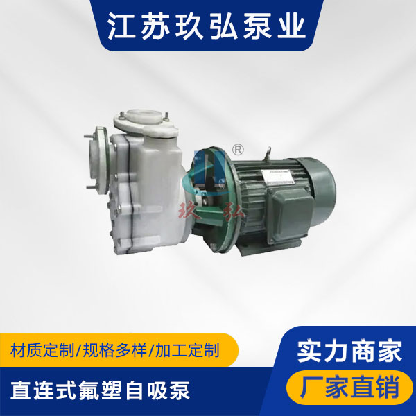 FZB-Ⅱ直連式氟塑自吸泵(圖1) FZB-Ⅱ直連式氟塑自吸泵(圖1)