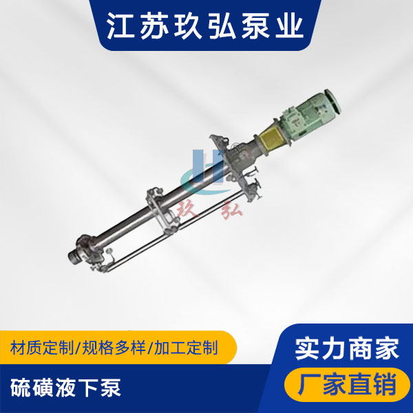 LHY硫磺液下泵【液硫泵】(圖1)