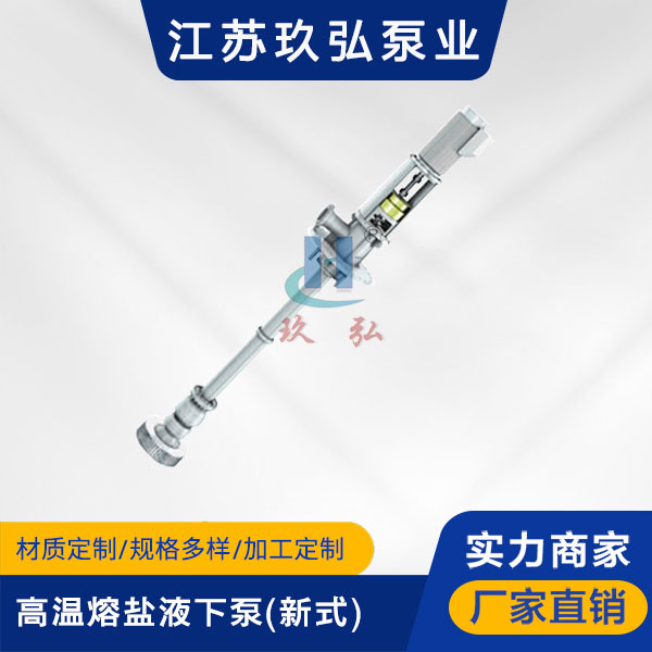 RY型高溫熔鹽液下泵(新式)(圖（tú）1)
