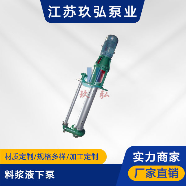 LJYA料漿液下泵(圖1)