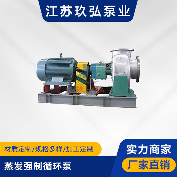 ECP混流式蒸發強製循環泵(圖1)