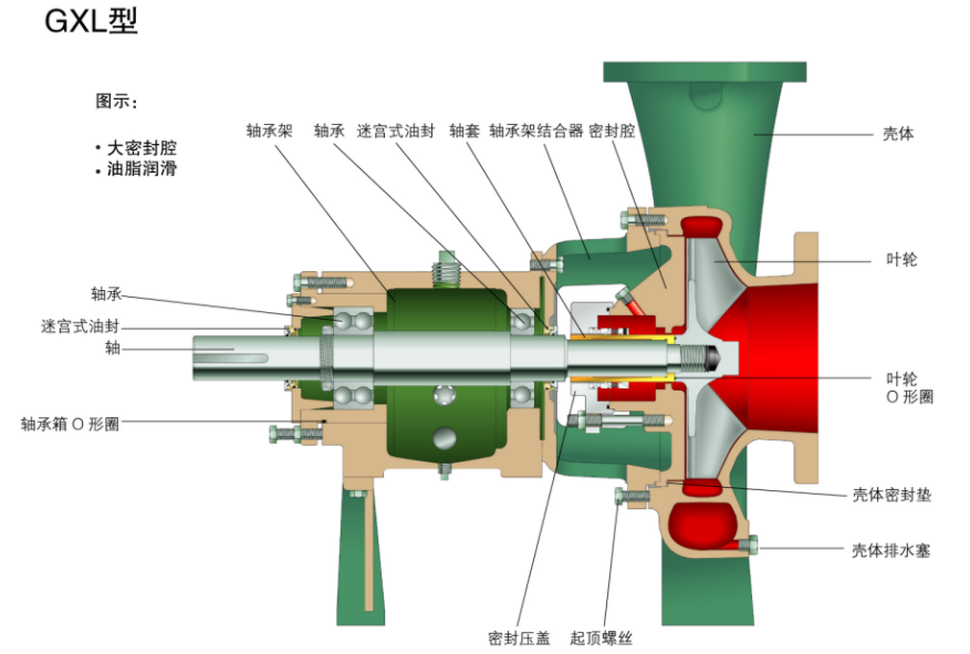 G係列（liè）ANSI標準化（huà）工流程泵(圖11)